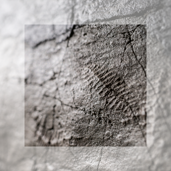 KAM Blog - Eastern Canada's Himalayas